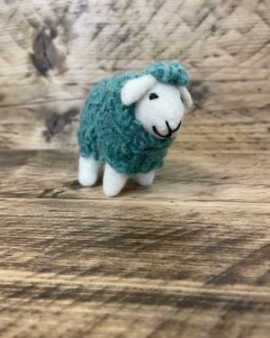 Blue Sheep