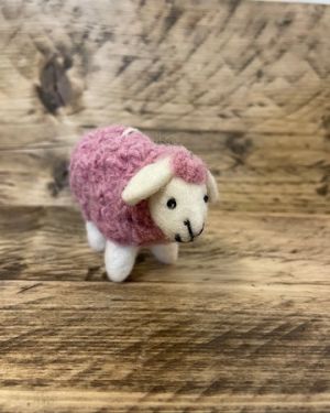 Pink Sheep