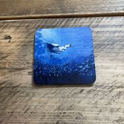 Square Underwater Coasters