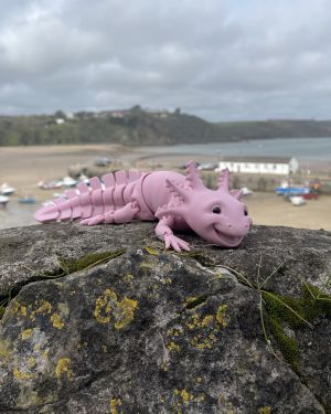 Axolotls