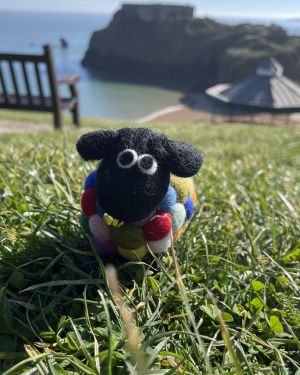 Ziggy The Bobbly Sheep