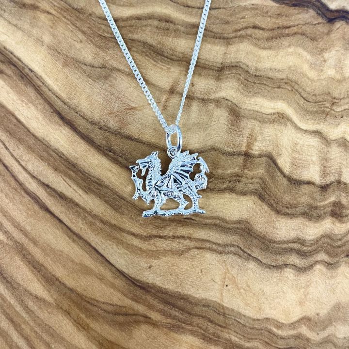 Dragon Necklace The Nook Tenby