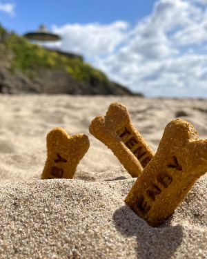 Tenby Dog Treats