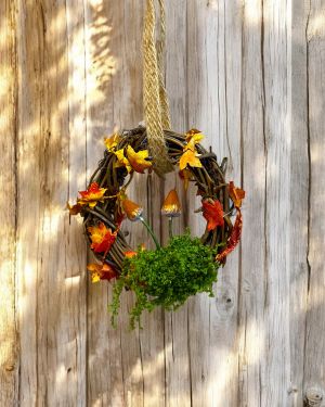 Small Autumn Fairy Ring Wreath