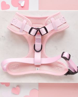 Baby Pink Heart Neck Harnesses