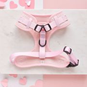 Baby Pink Heart Neck Harnesses