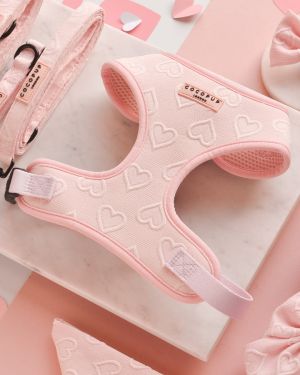 Baby Pink Heart Neck Harnesses