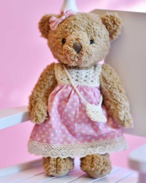 Teddy Bear In Pink Dress